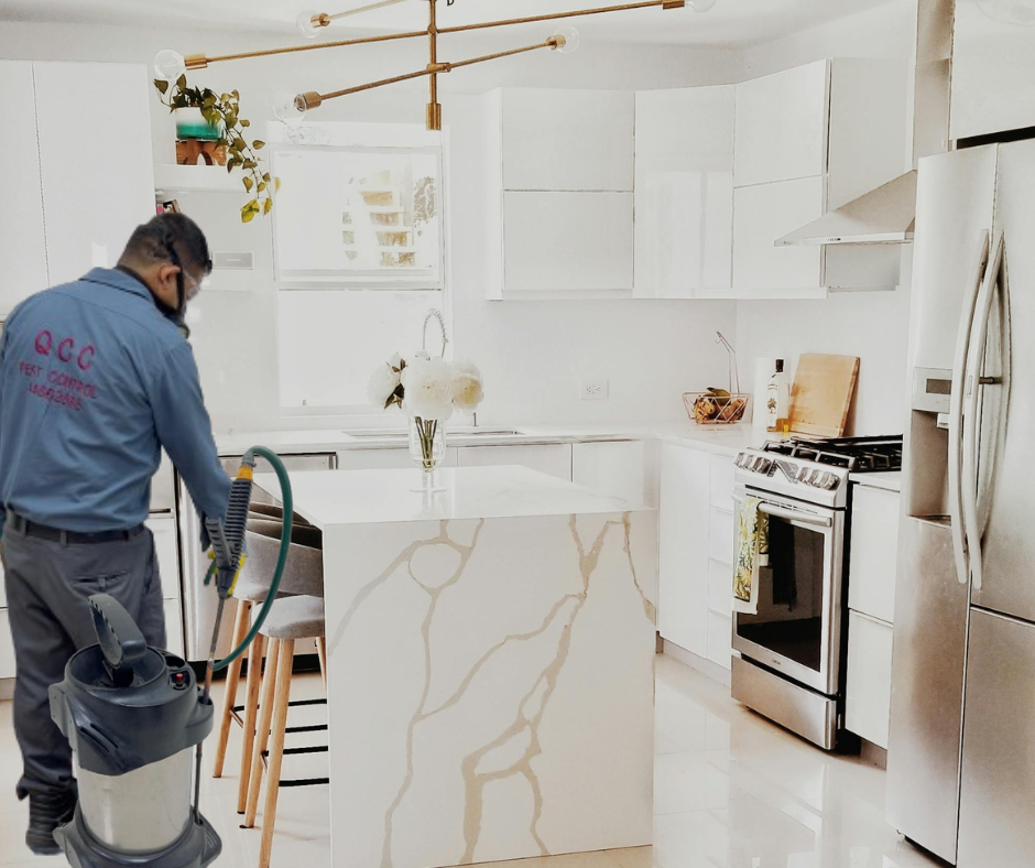 Pest Control Qatar